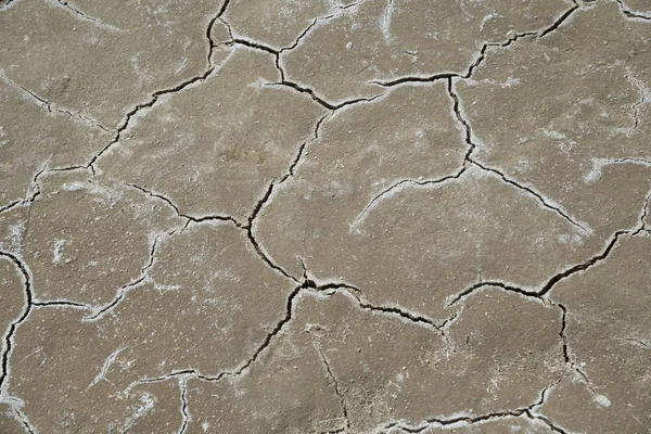 Chapped salted ground — Stock Photo, Image