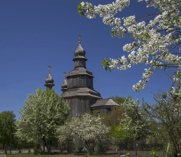 Wood church surrounded with blossom trees — Stock Photo, Image