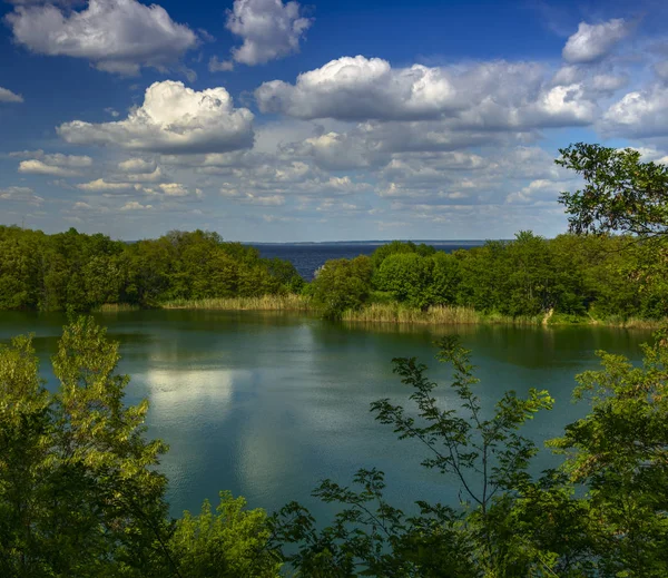 Lake surrouded ağaçları ile — Stok fotoğraf