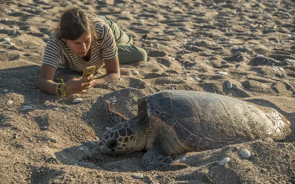 Girl making a photo of sea turtle — Stock Photo, Image