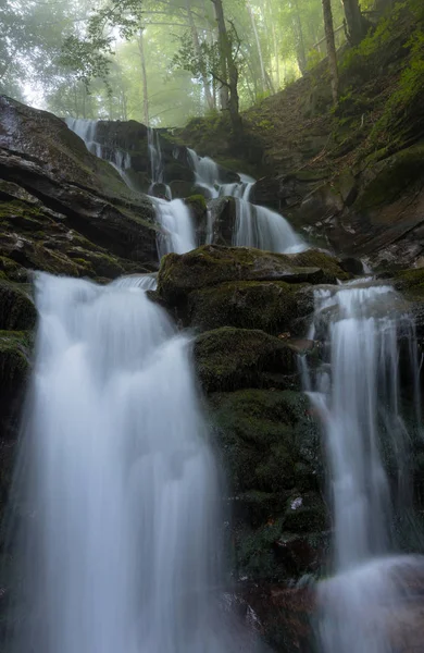 Waterfall in forest__ — Stockfoto