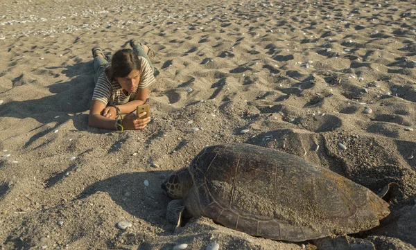 Турист возле яиц, откладывающих черепаху — стоковое фото