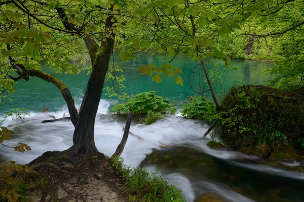 Stream falling to azure lake - Plitvice Lakes Park — Stock Photo, Image