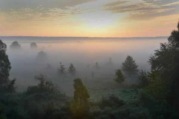 Landschaft mit Morgennebel — Stockfoto