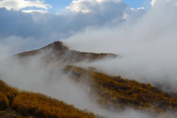 Sis ile kaplı sonbahar Dağları — Stok fotoğraf