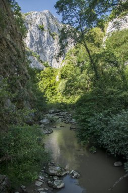Turda Kanyon _ yaz