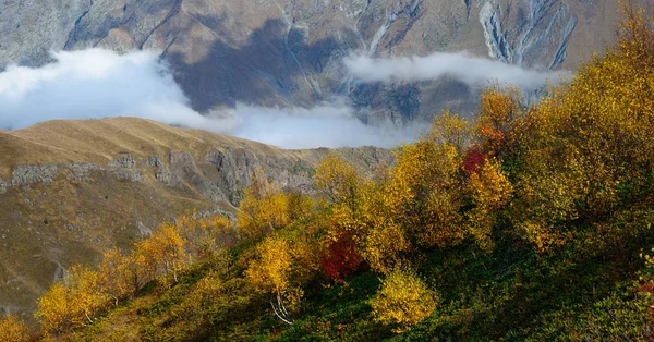 Golden autumn in mountains — Stock Photo, Image