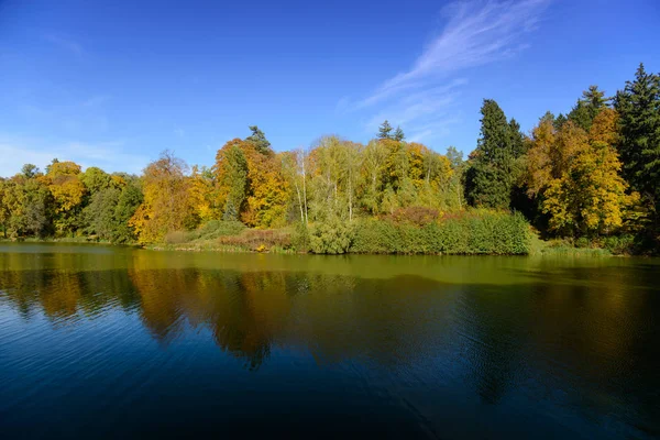 Jezioro z autumn drzewa — Zdjęcie stockowe