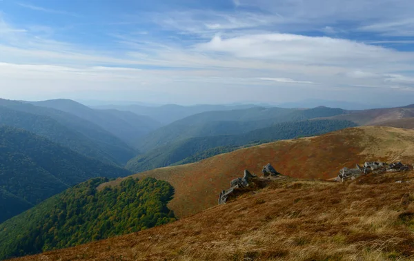 Cores de outono nas montanhas — Fotografia de Stock