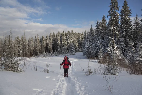 Woman in winter hiking — Stock Photo, Image