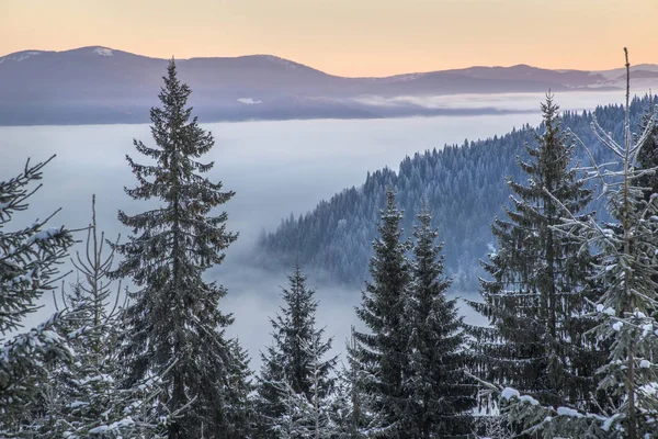 Manhã de inverno com névoa nas montanhas — Fotografia de Stock