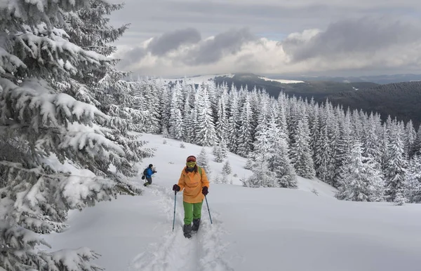 Randonnées dans les montagnes d'hiver Photos De Stock Libres De Droits