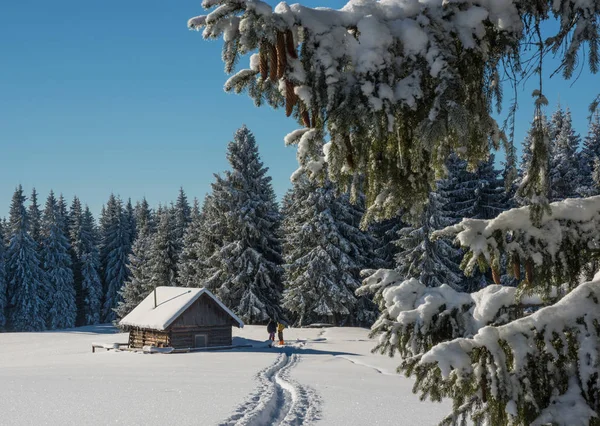 Viagem de inverno - cena com pessoas Fotos De Bancos De Imagens