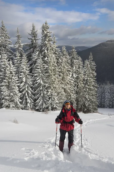 Active rest in winter — Stock Photo, Image