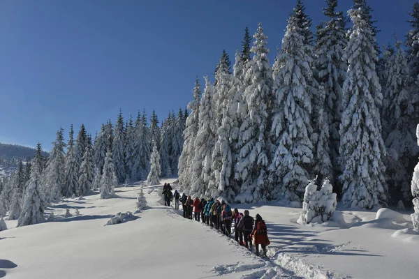 冬季徒步旅行 免版税图库图片