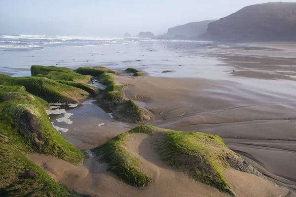 Laag water in de oceaan — Stockfoto