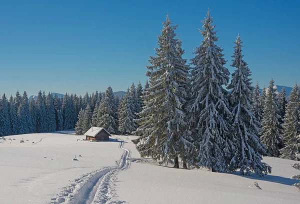 Снежные деревья, домик в горах и лыжня — стоковое фото