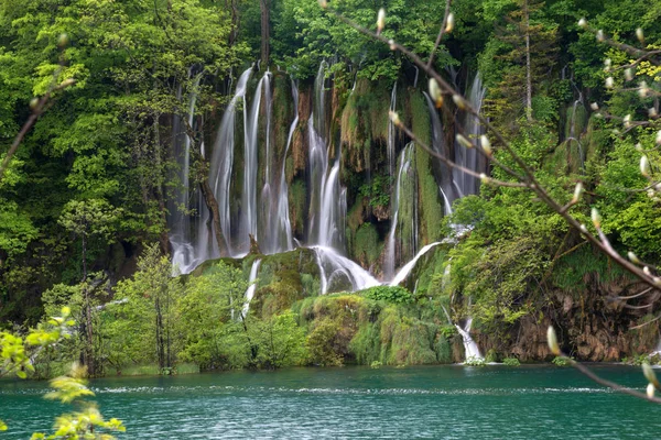 Waterfall surrounded by lush vegetation and a lake — Stock Photo, Image