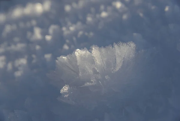Cristalli sulla superficie della neve — Foto Stock