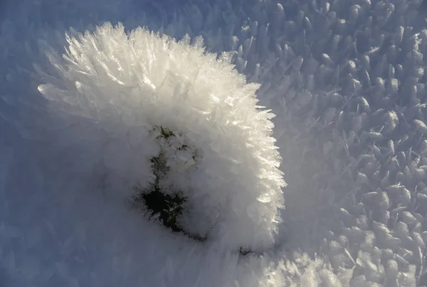 Neve sopra la terra primo piano — Foto Stock