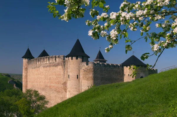 Khotyn Festung umrahmt von einem blühenden Baum — Stockfoto