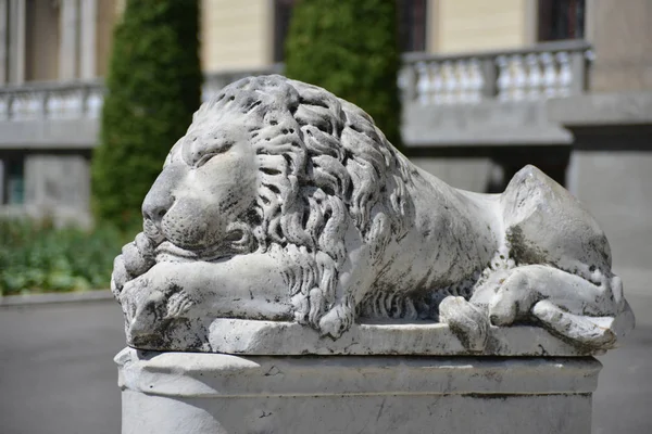 Escultura de león cerca del palacio en Nemyriv (Nemirov ) — Foto de Stock