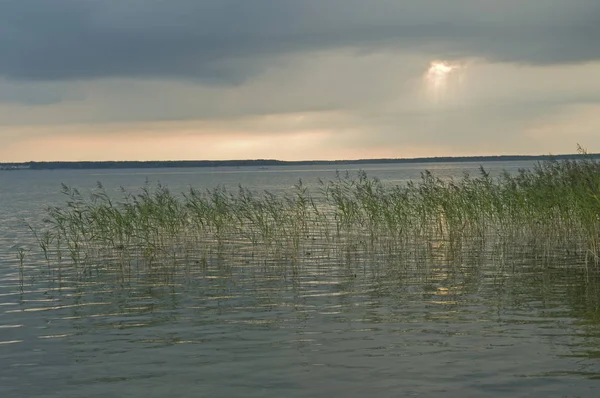 Jezioro lekko zarośnięte — Zdjęcie stockowe