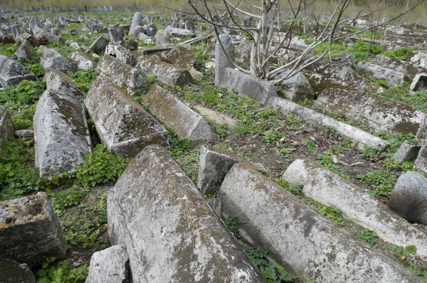 Old abandoned Jewish cemetery — Stock Photo, Image