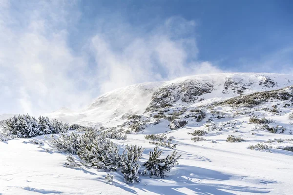 Herrliche Winterlandschaft Mit Schneebedeckten Berggipfeln — Stockfoto