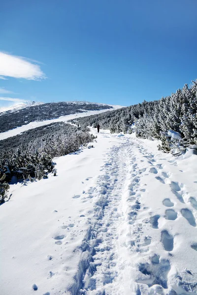 Panorama Montanhas Inverno Vista Sobre Paisagem Picos Nevados — Fotografia de Stock