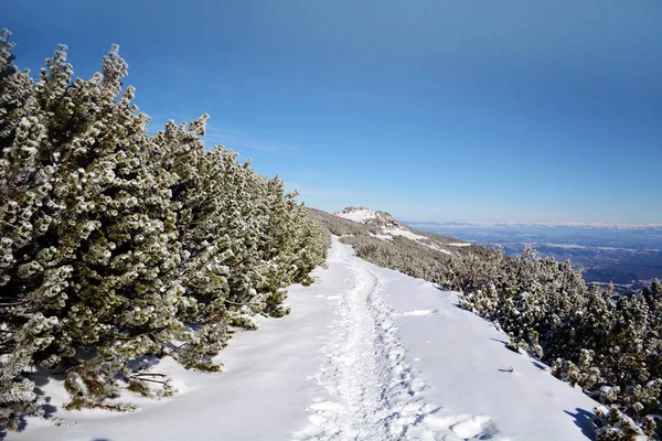 Belas Montanhas Ensolaradas Inverno Vista Sobre Paisagem Picos Nevados — Fotografia de Stock