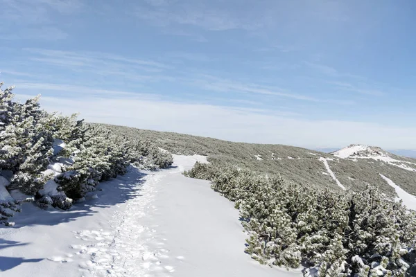 Belas Montanhas Ensolaradas Inverno Vista Sobre Paisagem Picos Nevados — Fotografia de Stock