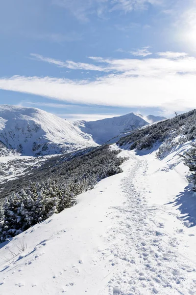 パノラマ冬の山の景色雪の山 — ストック写真