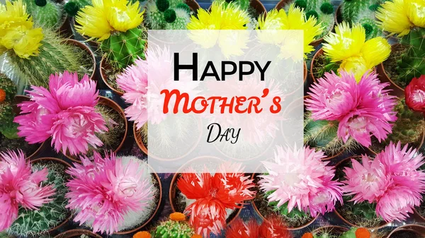 message of Happy Mothers Day quote on frame floral background