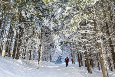 Genç adam karlı kış parkında yürüyor.