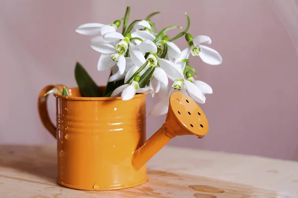 Gotas Nieve Frescas Jarrón Caña Riego Para Decoración Del Hogar — Foto de Stock