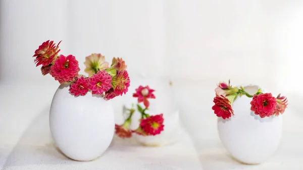 Величезна Прикраса Квітка Червоного Каланчоу Яєчному Шоломі — стокове фото