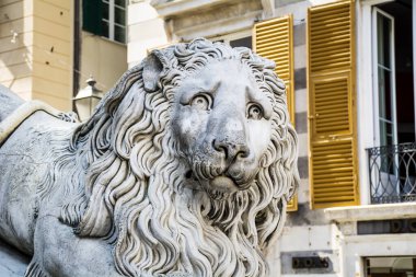 Cenova, İtalya 'daki San Lorenzo Katedrali önündeki aslan heykeli.