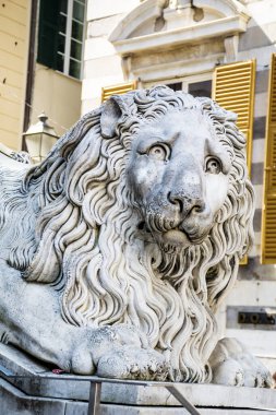 Cenova, İtalya 'daki San Lorenzo Katedrali önündeki aslan heykeli.