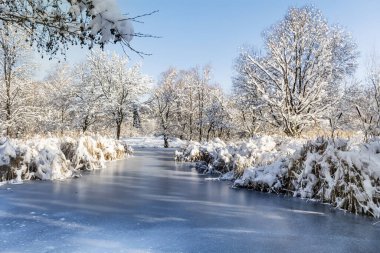 Güzel Kış Donmuş Göl Manzarası Bulutlu bir günde 