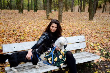 Güzel Gülümseyen Kadın Parkta Tatlı Köpeklerine Kucaklıyor ve Doğada Sahibi Var