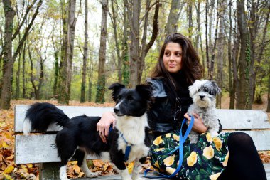 Güzel Gülümseyen Kadın Parkta Tatlı Köpeklerine Kucaklıyor ve Doğada Sahibi Var