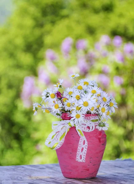 Mooie Wilde Lente Bloemen Madeliefjes Een Kleine Roze Vaas — Stockfoto