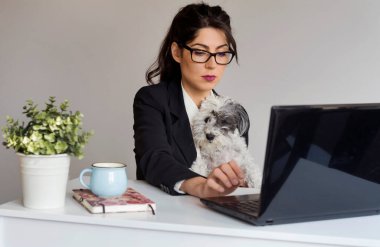 İçişleri Bakanlığı 'nda köpeğiyle birlikte çalışan genç iş kadını. Ofiste köpek. 