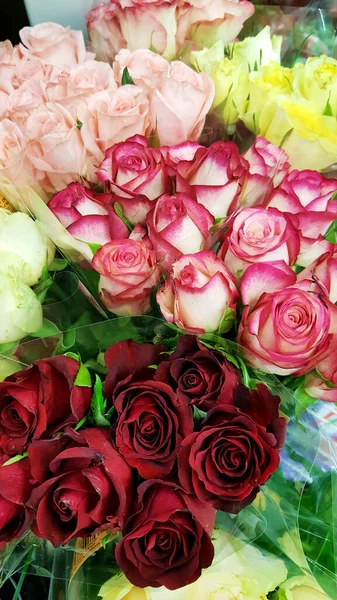 Colori Diversi Rose Negozio Fiori — Foto Stock