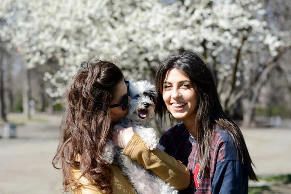 两个姐妹在春天的公园里拥抱她们的狗 — 图库照片