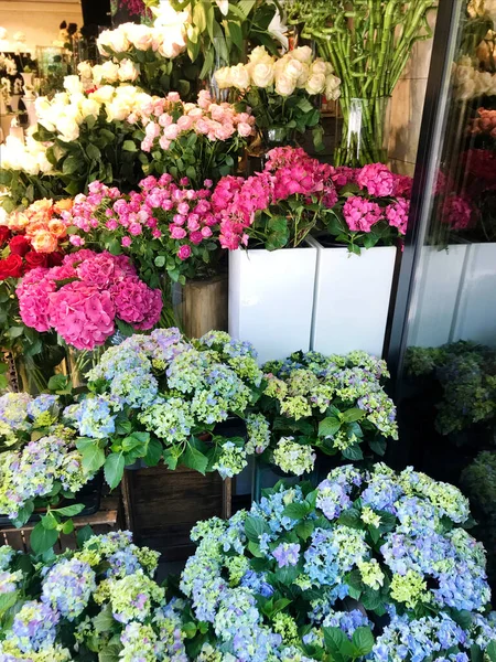 Muchas Flores Florecientes Una Tienda Flores Lujo —  Fotos de Stock