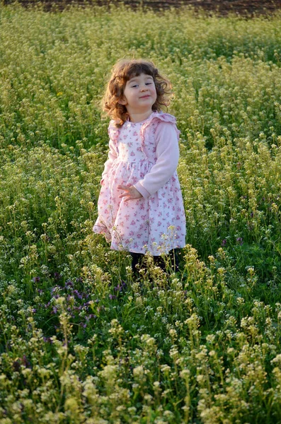 Menina Bonito Criança Prado Com Flores Primavera Florescendo Pôr Sol — Fotografia de Stock