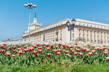 SOFYA, BULGARIA - 30 Ağustos 2018: Bulgaristan 'ın Sofya kentindeki Bakanlar Kurulu Güneşli bir günde Largo olarak tanınıyor