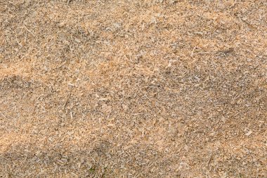 Arkaplan tahta talaşı.